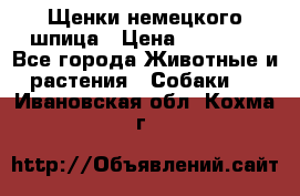 Щенки немецкого шпица › Цена ­ 20 000 - Все города Животные и растения » Собаки   . Ивановская обл.,Кохма г.